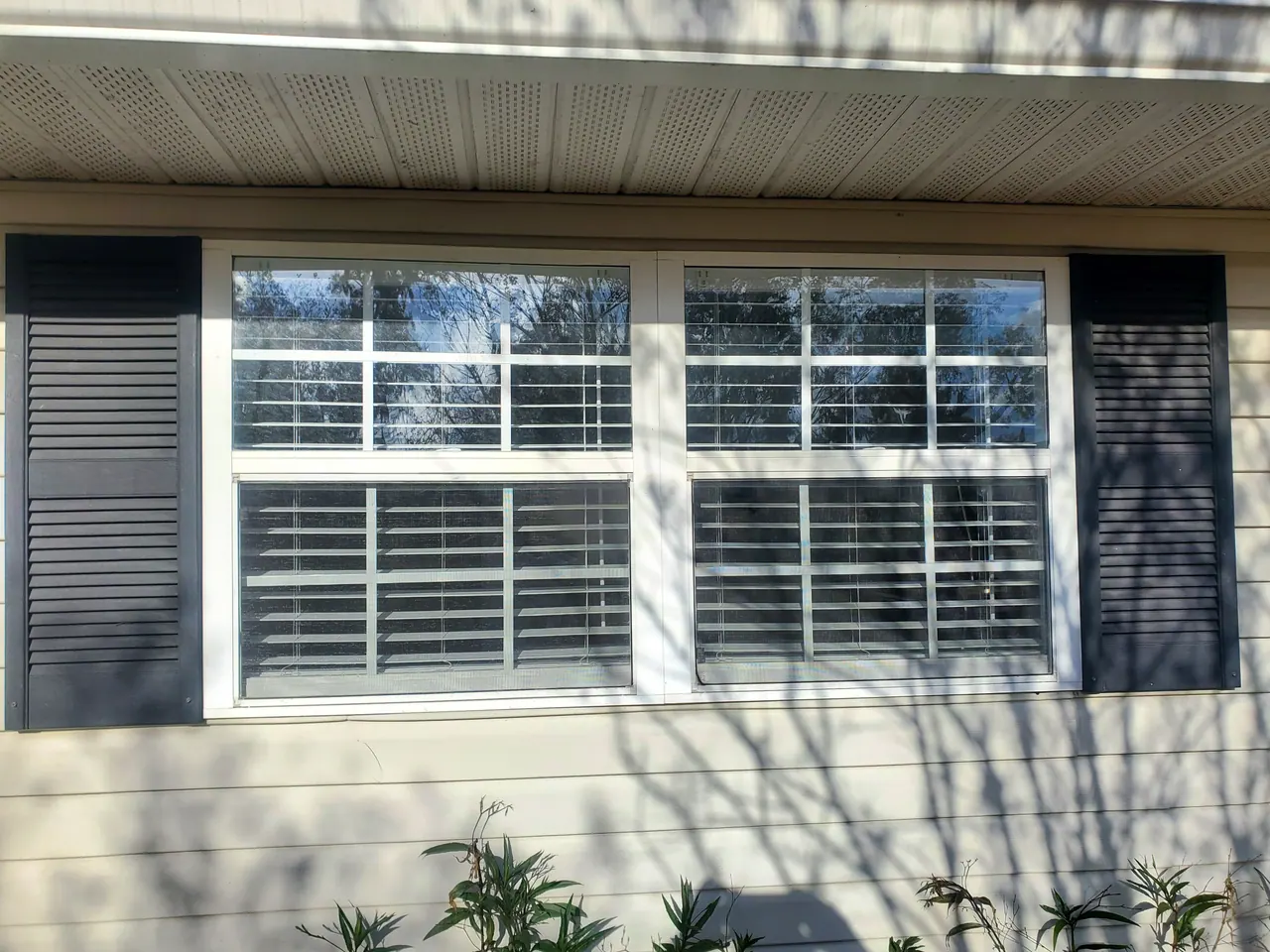 The window within its siding and shutter surround.